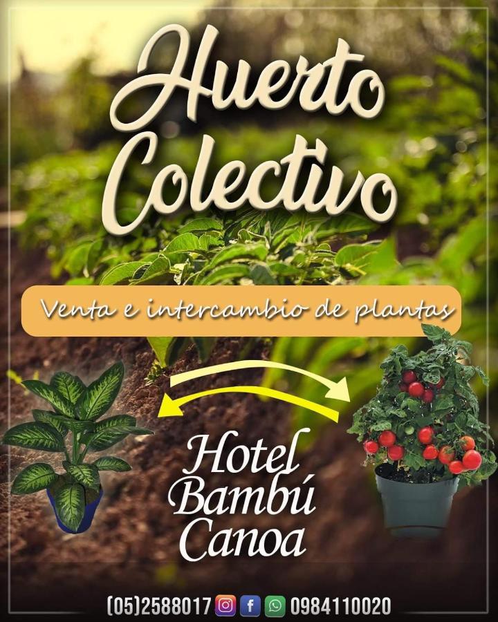 Hotel Bambu Canoa Zewnętrze zdjęcie